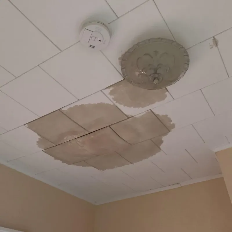 Ceiling Water Damage Repair in Sedan, KS