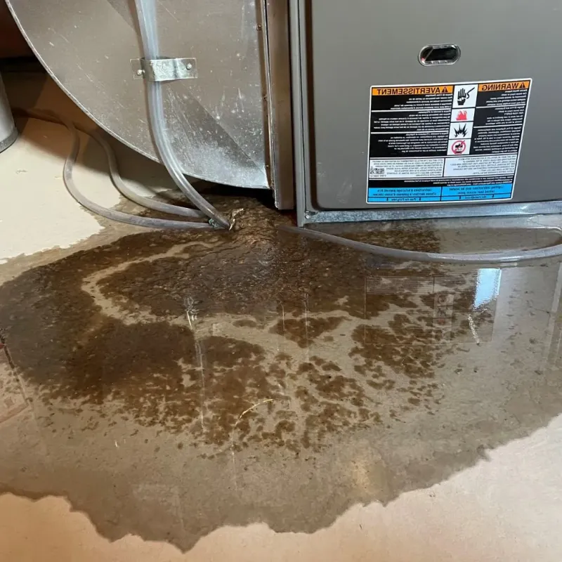 Pipe Burst and Leak Restoration in Sedan, KS