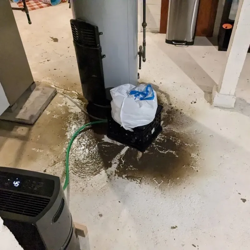 Sewage Backup Cleanup Service in Sedan, KS